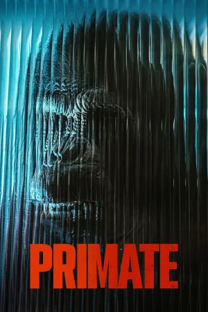 Primat